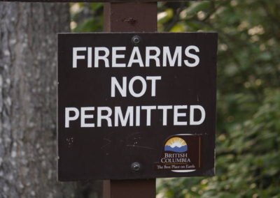 Armes à feu interdites