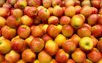 Pourquoi et comment une pomme mûrit ?